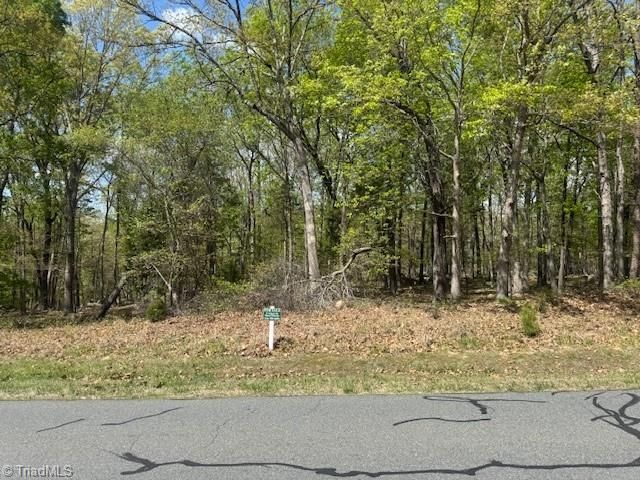 218 Rocky Cove Lane, Denton, NC 27239