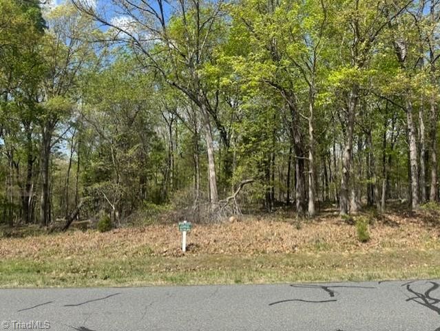 218 Rocky Cove Lane, Denton, NC 27239