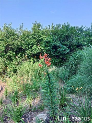 12675 Harder Road, Fabius Twp, MI 49093