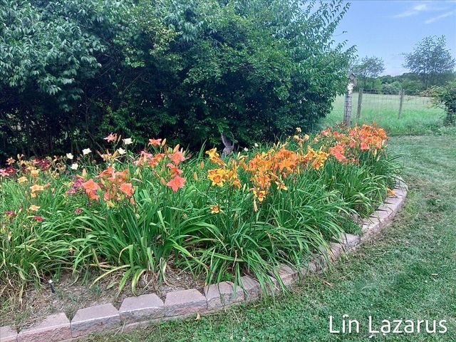 12675 Harder Road, Fabius Twp, MI 49093