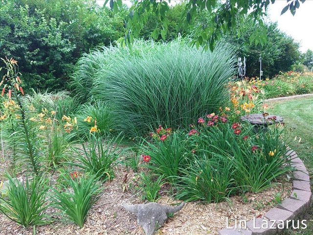 12675 Harder Road, Fabius Twp, MI 49093