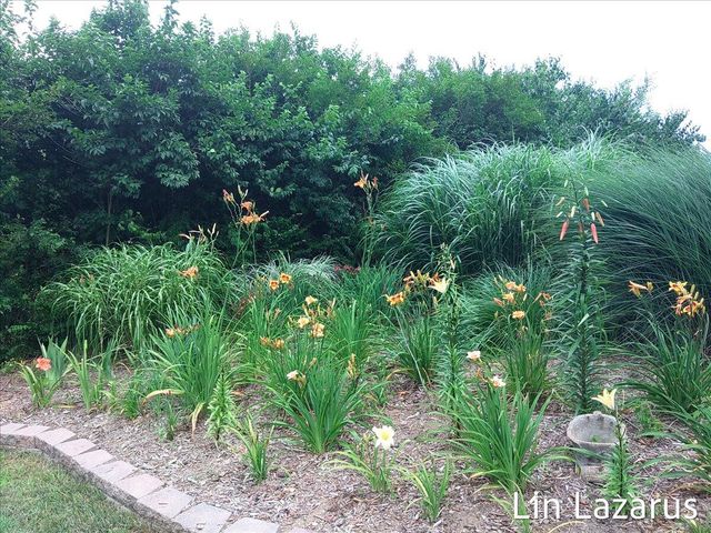 12675 Harder Road, Fabius Twp, MI 49093