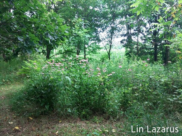 12675 Harder Road, Fabius Twp, MI 49093