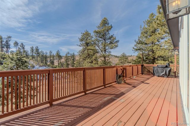 14891 Evergreen Place, Woodland Park, CO 80863