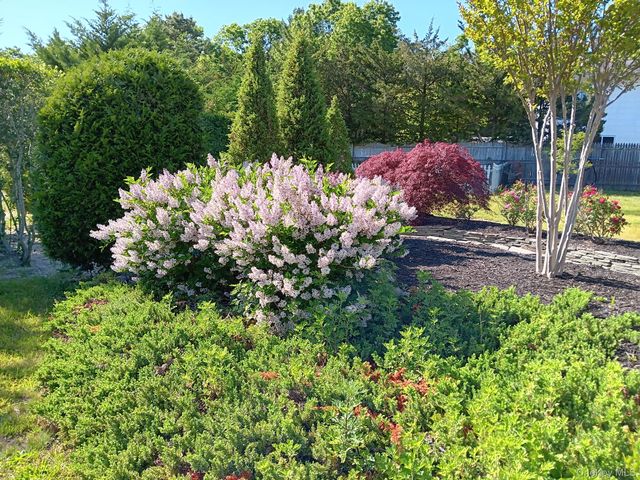 1072 Connetquot Avenue, Central Islip, NY 11722