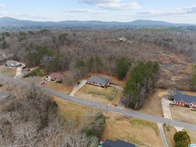 1411 SCENIC DRIVE, Talladega, AL 35160