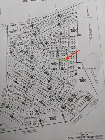 335 Exploration Road, New Waverly, TX 77358