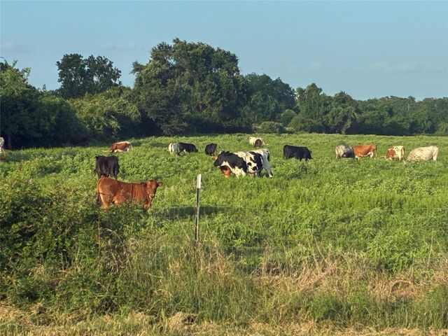 1523 22nd Street, Hempstead, TX 77445