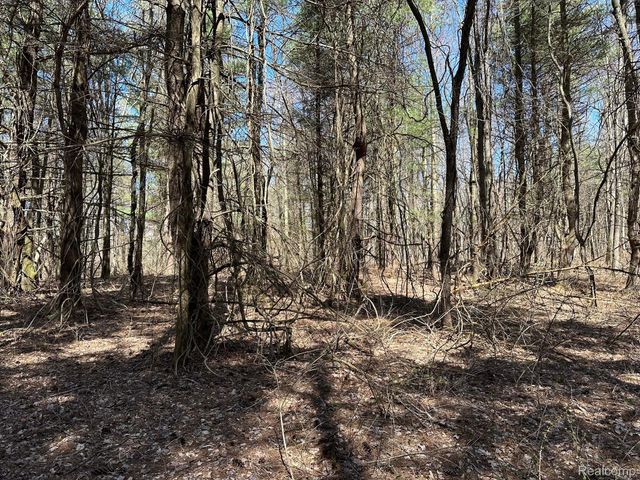 2.02 Acres VL - KNIGHTS BRIDGE Road, Addison Township, MI 48367