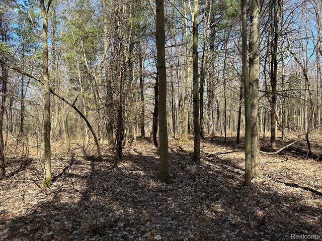 2.02 Acres VL - KNIGHTS BRIDGE Road, Addison Township, MI 48367
