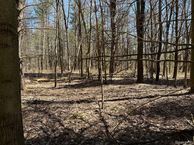 2.02 Acres VL - KNIGHTS BRIDGE Road, Addison Township, MI 48367
