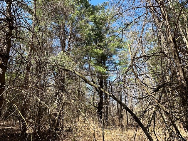 2.02 Acres VL - KNIGHTS BRIDGE Road, Addison Township, MI 48367