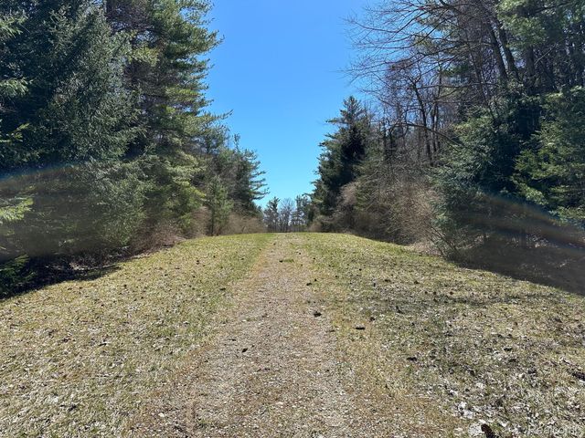 2.02 Acres VL - KNIGHTS BRIDGE Road, Addison Township, MI 48367