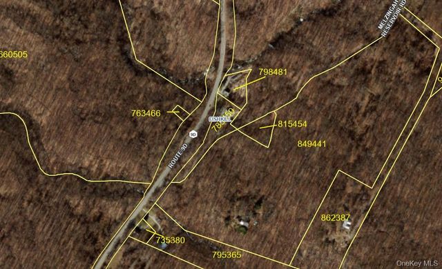 Melzingah Rsvr Road, Beacon, NY 12508