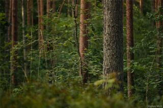 Melzingah Rsvr Road, Beacon, NY 12508