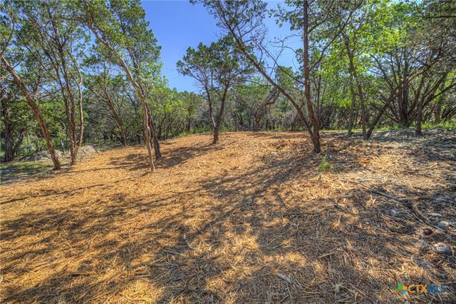 1919 Lakeshore Drive, Canyon Lake, TX 78133