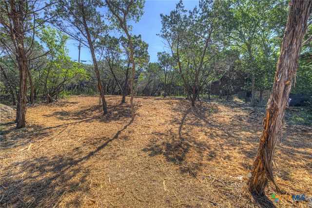 1919 Lakeshore Drive, Canyon Lake, TX 78133