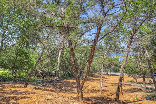 1919 Lakeshore Drive, Canyon Lake, TX 78133