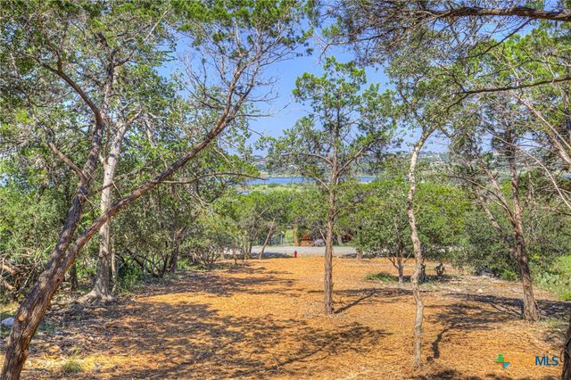 1919 Lakeshore Drive, Canyon Lake, TX 78133