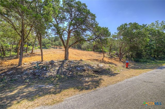 1919 Lakeshore Drive, Canyon Lake, TX 78133