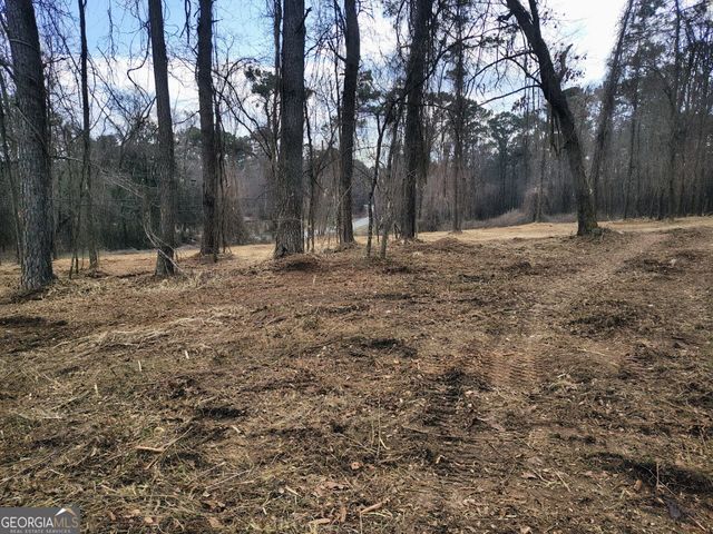 594 COOK Drive, Ellenwood, GA 30294