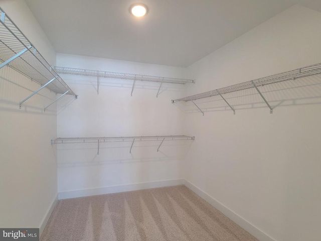 5046 BIGLEAF RD, Fredericksburg, VA 22407