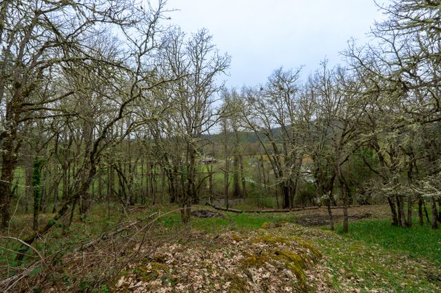 3631 Helms Road, Grants Pass, OR 97527