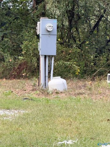 161 Williams Road, Toney, AL 35773