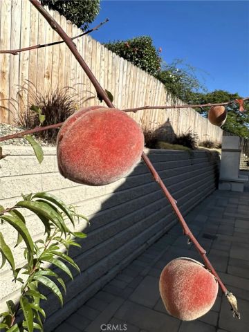 4654 Hummel Drive, Santa Maria, CA 93455