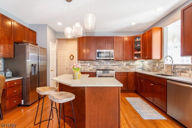 38 Saunders Ln, Mount Olive Twp., NJ 07840