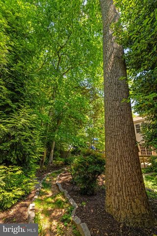 9716 BUNCHBERRY PL, Vienna, VA 22181