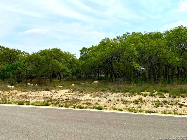34676 Ansley Ridge Trl, Bulverde, TX 78163