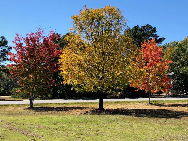 121 Rock Hill Road, Fairfield Bay, AR 72088