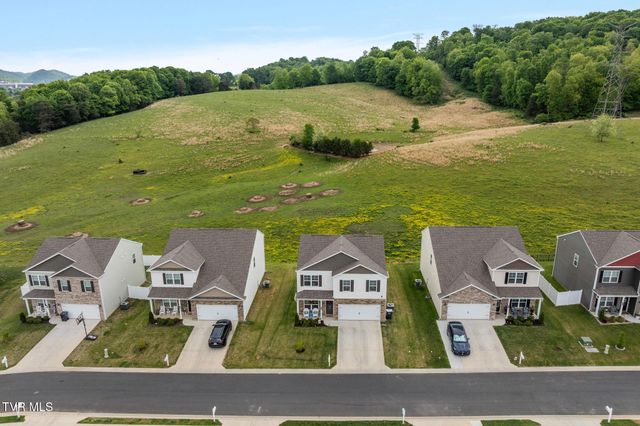 106 Thistle Drive, Bluff City, TN 37618