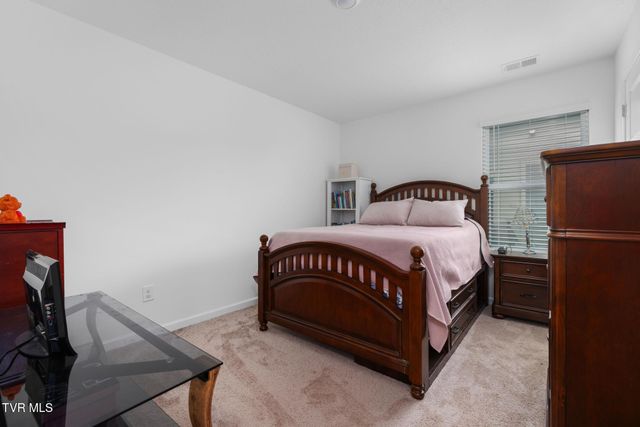 106 Thistle Drive, Bluff City, TN 37618