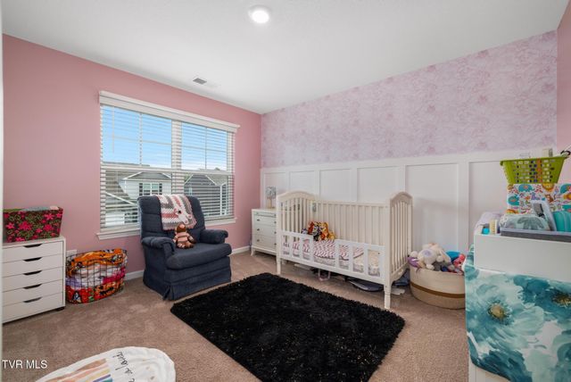 106 Thistle Drive, Bluff City, TN 37618