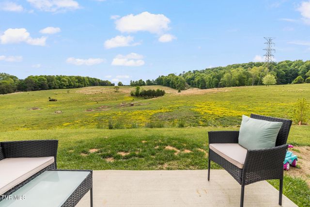 106 Thistle Drive, Bluff City, TN 37618