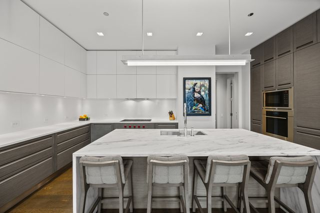 4 E Elm Street 12S, Chicago, IL 60611