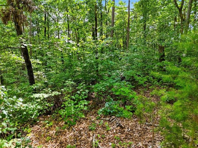Lot 11 Weeks Dr., Ellijay, GA 30540