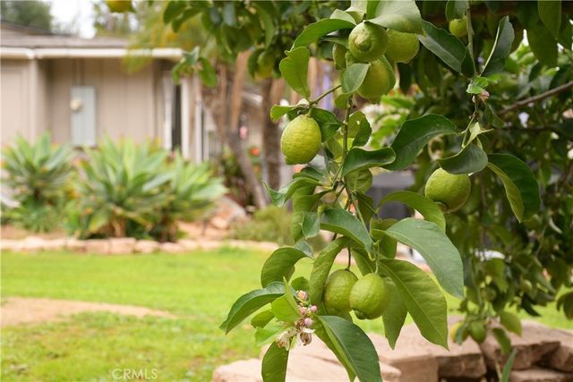 1256 E Fallbrook, Fallbrook, CA 92028