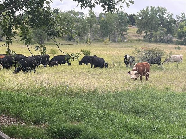 2285 Cliffrose Ln, Louisville, CO 80027