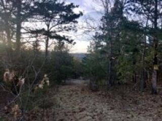 19641 Stonington Road, Omaha, AR 72601