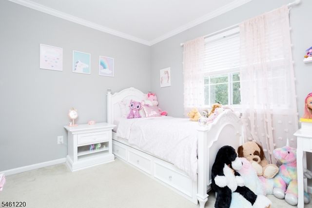 102 Connelly Ave, Mount Olive Twp., NJ 07828