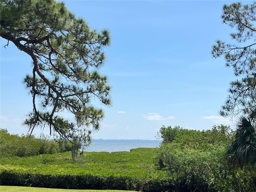 N BAYSHORE DRIVE, Safety Harbor, FL 34695