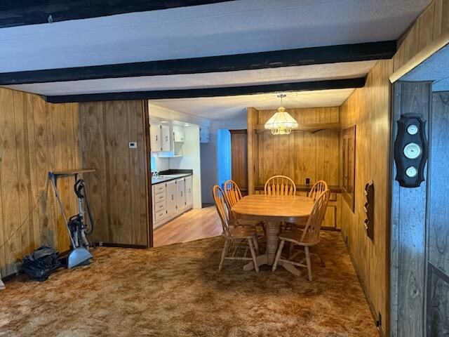 4095 E Shore Drive, Stanton, MI 48888