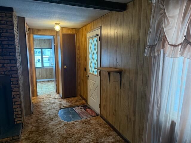 4095 E Shore Drive, Stanton, MI 48888