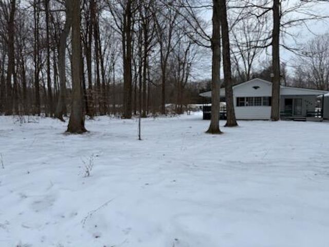 4095 E Shore Drive, Stanton, MI 48888