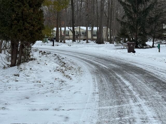 4095 E Shore Drive, Stanton, MI 48888