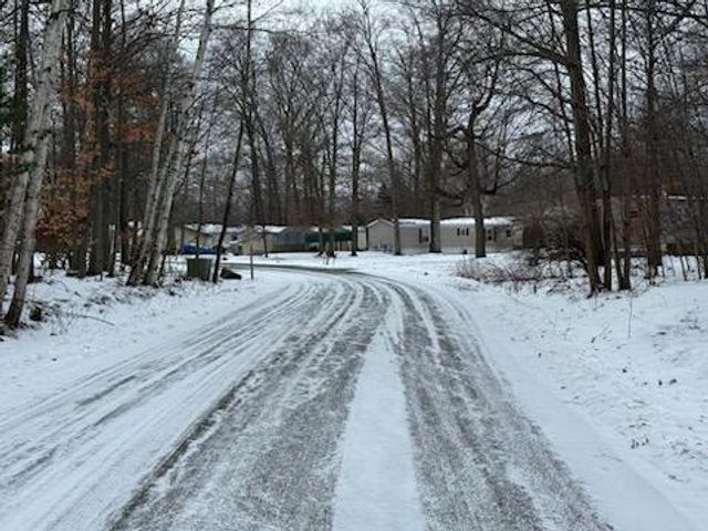 4095 E Shore Drive, Stanton, MI 48888