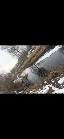 4095 E Shore Drive, Stanton, MI 48888